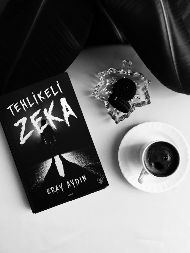 Eray Aydın Tehlikeli Zeka