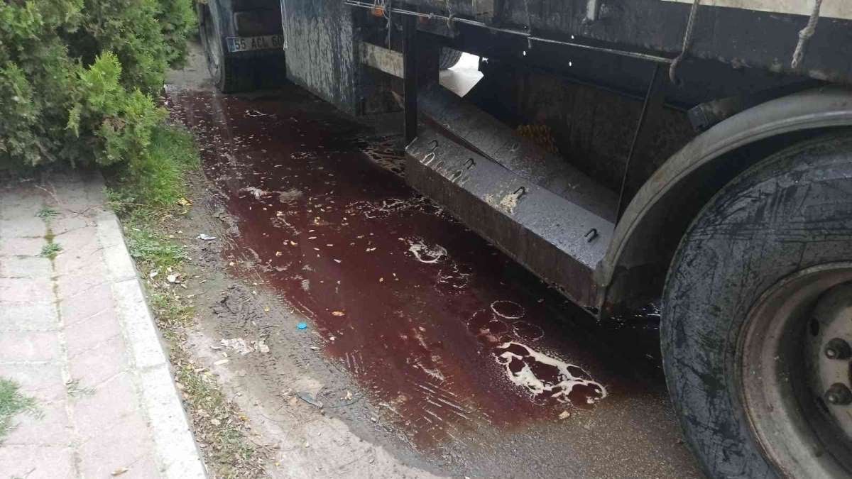 Tırdan Akan Kan ve Kötü Koku Mahalleyi Harekete Geçirdi