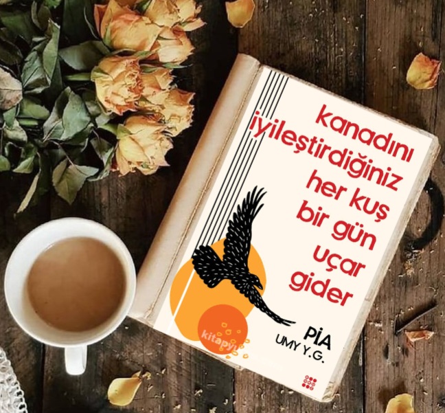 Kanadını İyileştirdiğiniz Her Kuş Birgün Uçar Gider