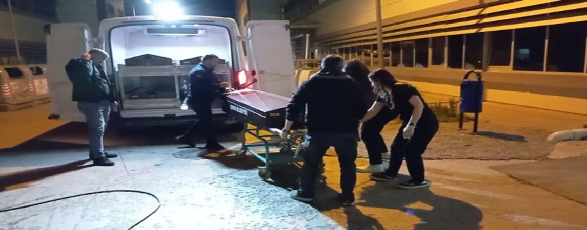 Çorum-Samsun Karayolunda Trafik Kazası 