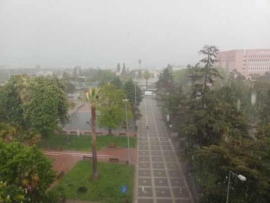 Samsun da Dolu Yağışı Etkili Oldu