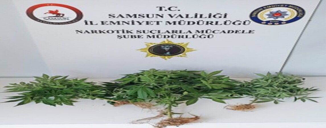 Narkotik Polisinden Uyuşturucu Operasyonu 
