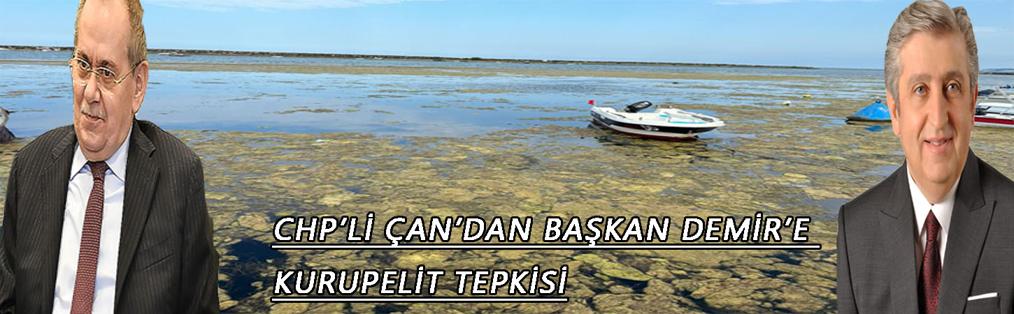 CHP’li Çan’dan başkan Demir’e Kurupelit tepkisi