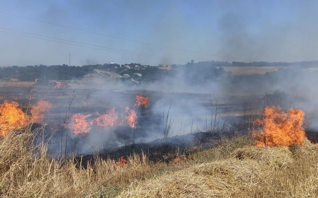 Bafra'da Korkutan Yangın