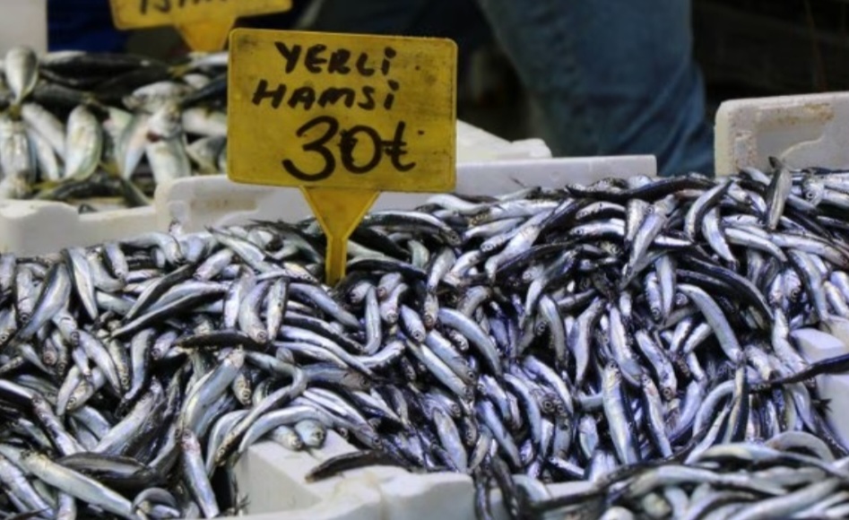 Tezgahlar da Hamsi Bolluğu