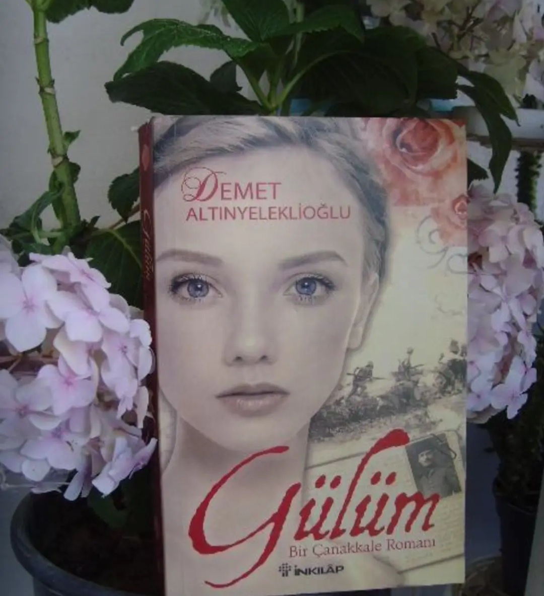Demet Altınyeleklioğlu-Gülüm