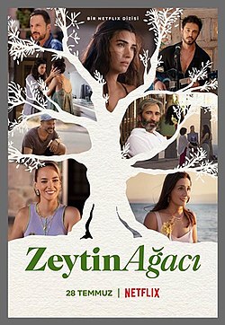 Zeytin Ağacı