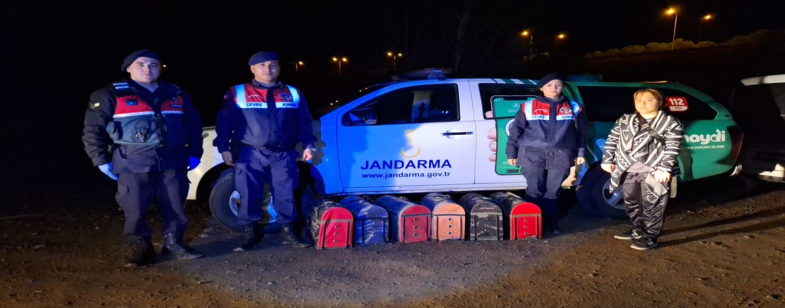 Samsun da Akılalmaz Olay
