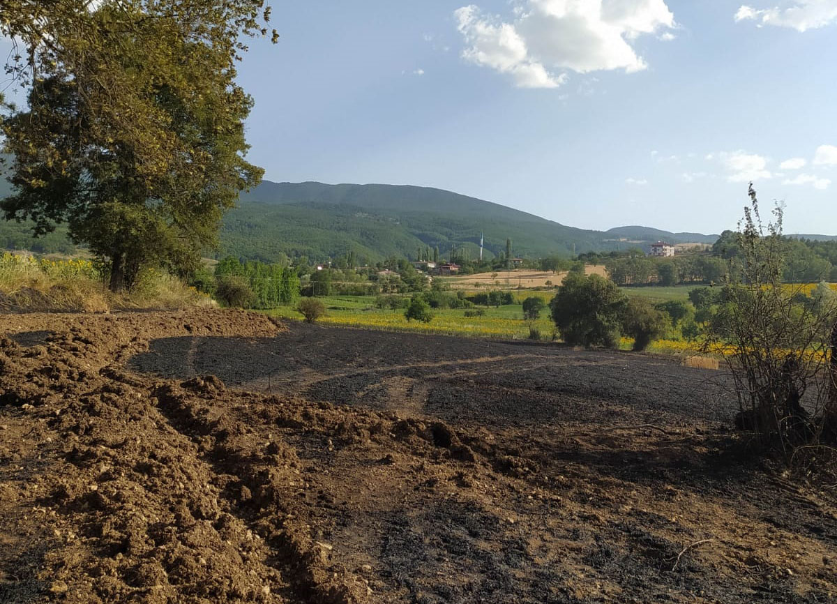 Vezirköprü de Anız Yangını Araziye Sıçradı 