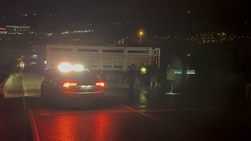 Samsun Ordu Karayolunda Tır Refüje Çarptı