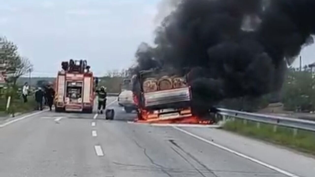 Tomruk Yüklü Dorsede Yangın Paniği