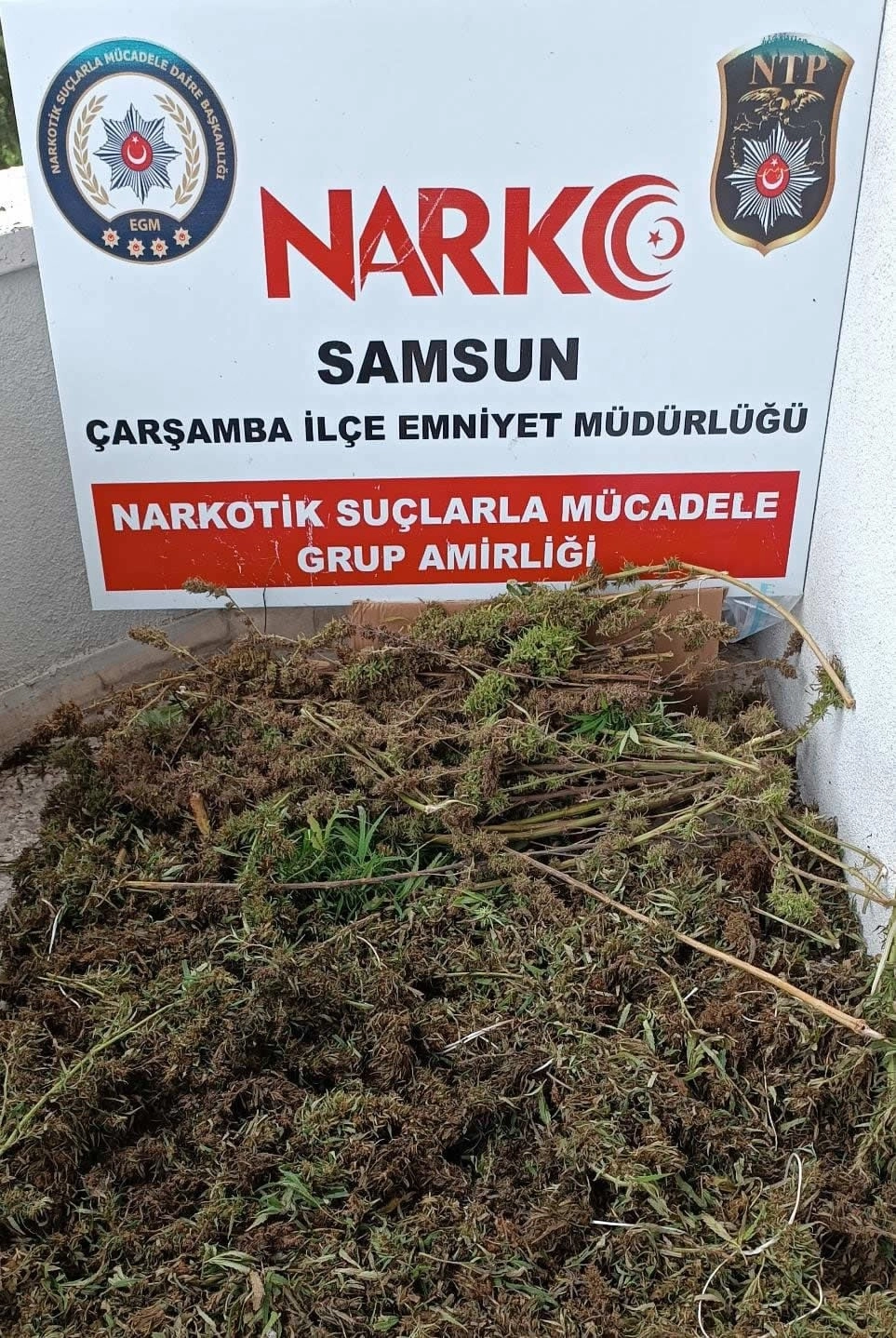 Çarşamba'da Uyuşturucu Operasyonu 