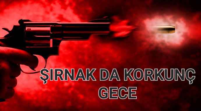 Şırnak da Korkunç Gece