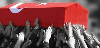 Van'da Yıldırım Düşmesi Sonucu Korucu Şehit Oldu