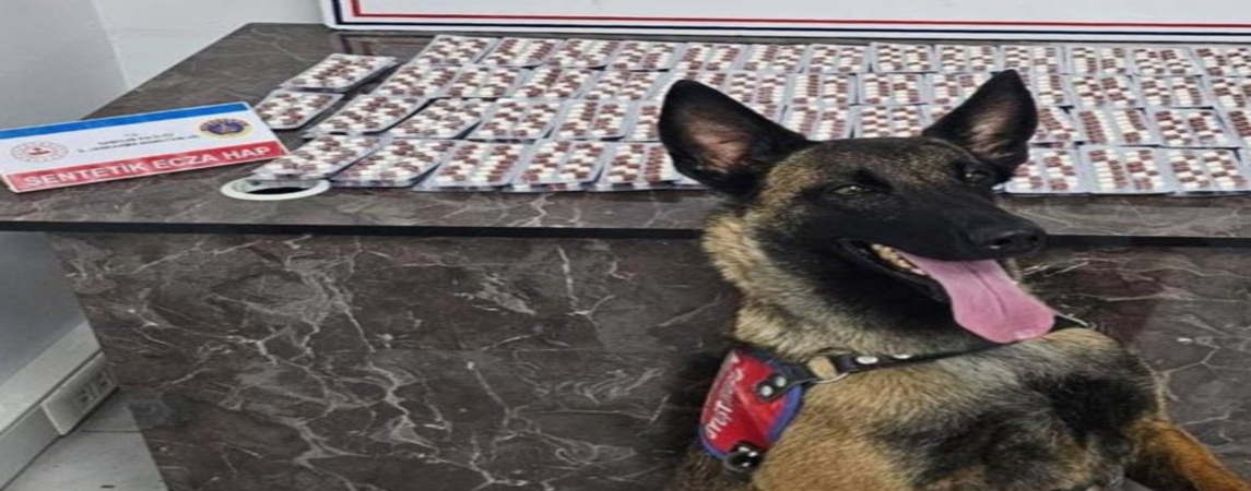 Jandarma Ekiplerinden Uyuşturucu Operasyonu