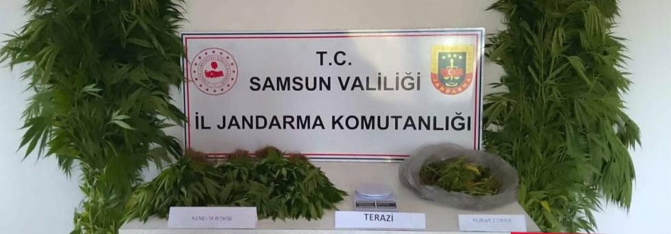 Jandarmadan Uyuşturucu Operasyonu