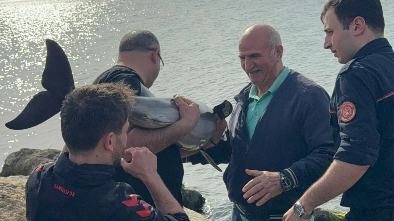 Polis Kayalıklara Sıkışan Yunus'u Kurtardı
